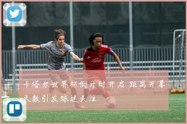卡塔尔世界杯倒计时开启 距离开幕天数引发球迷关注