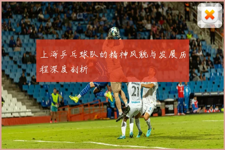 上海乒乓球队的精神风貌与发展历程深度剖析