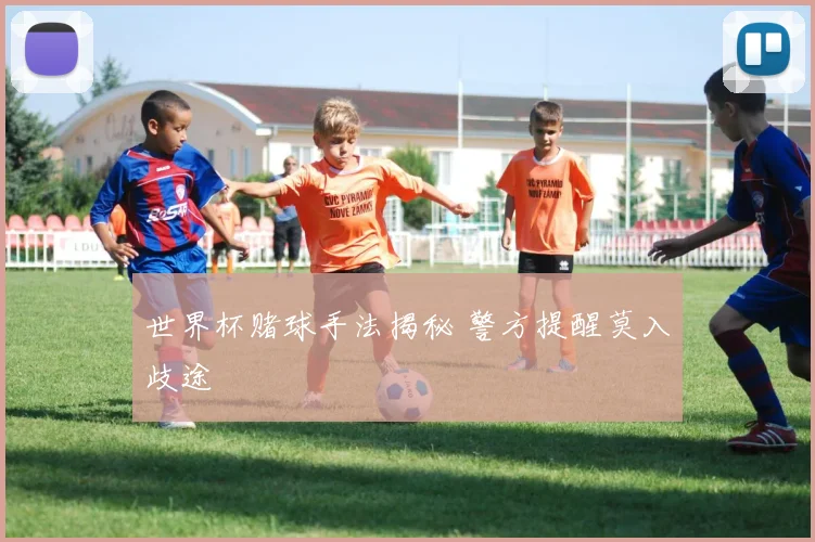 世界杯赌球手法揭秘 警方提醒莫入歧途