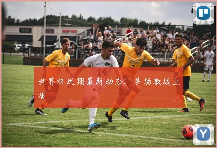 世界杯近期最新动态：多场激战上演
